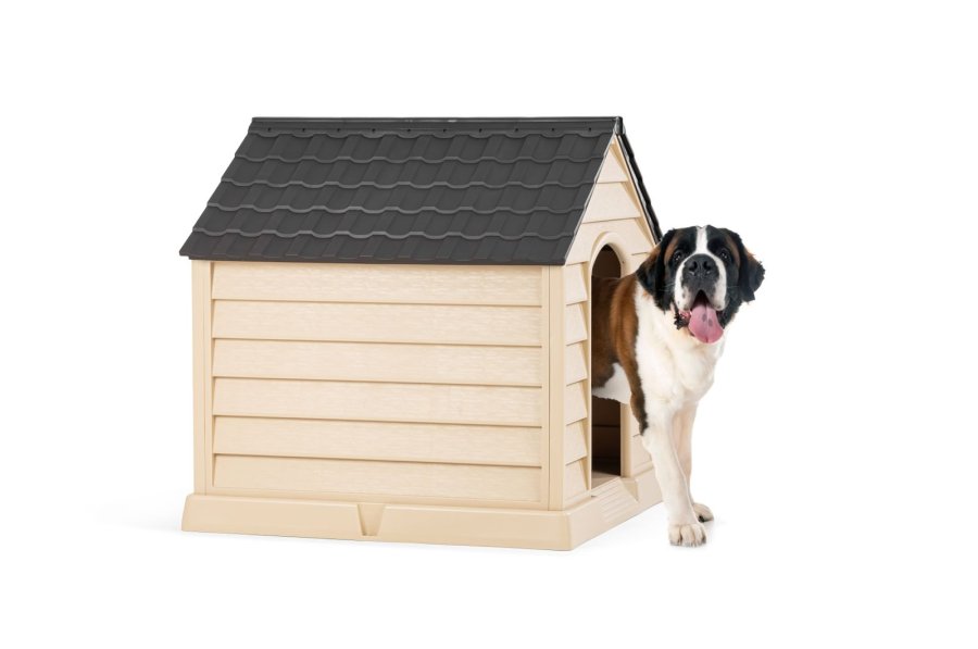 KÖPEK KULÜBESİ BÜYÜK